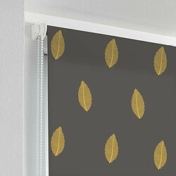 Paris Prix Store Enrouleur Tamisant Verdura 60x90cm Anthracite