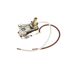 Polti Thermostat de fer + fusible thermique