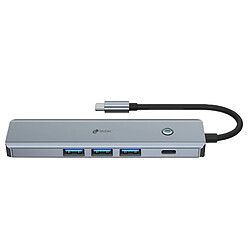 Hub USB LEOTEC Gris