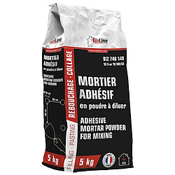 mortier adhésif - en poudre - en sac de 5 kg - bizline 740148