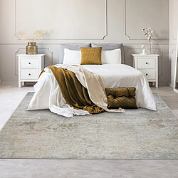 Thedecofactory VERDIO USED - Tapis en viscose effet usé en relief beige gris 200x290