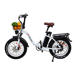 Vélo Électrique DrveTion CT20 - Moteur 750W Batterie 48V10AH Roues de 20 Pouces Freins à Huile - Blanc Perle