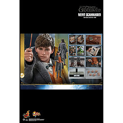 Hot Toys MMS512 - Fantastic Beasts : The Crimes Of Grindelwald - Newt Scamander Standard Version