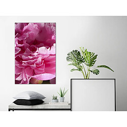 Artgeist Tableau - Beautiful Peonies (1 Part) Vertical [20x30]