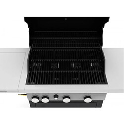 Avis barbecook - 223.3212.000