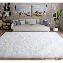 Acheter Tapis Salon Carré Shaggy Moderne Blanc 200x300cm