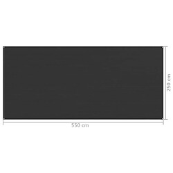 Acheter vidaXL Tapis de tente 250x550 cm Anthracite