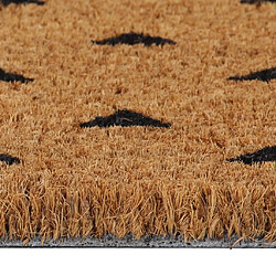 Avis vidaXL Tapis de porte naturel 45x75 cm fibre de coco touffeté