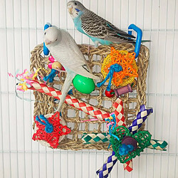 Acheter Oiseau Perroquet Jouets