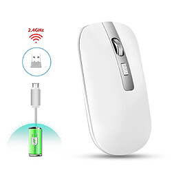 Yonis Souris Sans Fil Rechargeable Silencieuse Haute Résolution