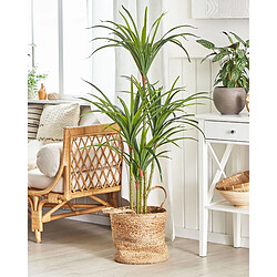 Beliani Plante artificielle DRACAENA ANITA 147 cm