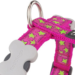 Red Dingo Harnais Réglable pour Chien Rose Etoiles Vert 45 à 69 cm 20 mm