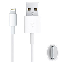 Wewoo Câble blanc pour iPhone 7 et 7 Plus, 6 6 Plus, 5 5S 5C, iPad Air, mini, mini 2 Retina Données USB Sync & de charge, Compatible avec iOS 9.3 iOS 10.3, Longueur: 1m,