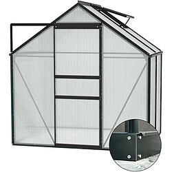 Vitavia Serre de jardin en polycarbonate 4 mm et aluminium noir avec embase Venus Longueur de 131 cm.