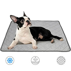 Cats Dogs Training Pad Puppy Piddle Mat Potty Trainer Litière Plateau Lavable M pas cher