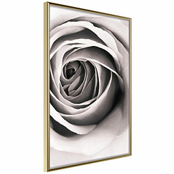 Paris Prix Affiche Murale Encadrée Structure of Petals 20 x 30 cm Or