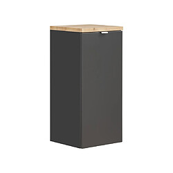 Vivaldi CAPRI COSMOS 811 ARMOIRE AVEC PANIER À LINGE