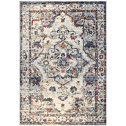 ICONIK INTERIOR Tapis Oriental Vintage - (290x200 cm) - Hakimy Multicolore