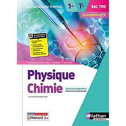 Physique chimie 1re, terminale bac pro, groupement 5 : nouveaux programmes, réforme de la voie professionnelle