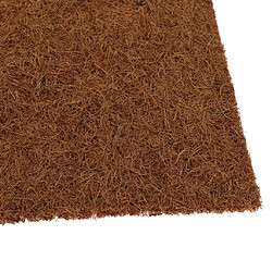 Acheter reptiles hydratants substrat de tapis de tapis de coco coco coco 60x40cm