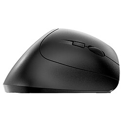 Acheter CHERRY MW 4500 mouse