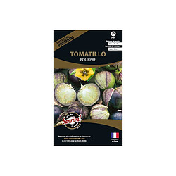 Sanrival Graines potagères premium tomatillo Pourpre 