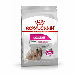 Nourriture Royal Canin Mini Exigent Adulte Oiseaux 3 Kg