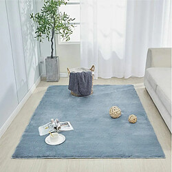 Sensoo Tapis décoratif pour salon chambre à coucher chambre d'enfant Tapis à poils longs moelleux Moderne Poils longs Super doux De qualité supérieure Uni Antidérapant (gris 60 x 90 cm)