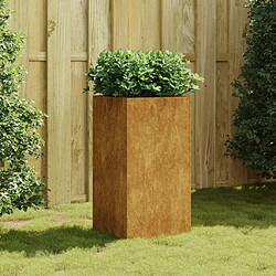 Maison Chic Jardinière,Bac à fleurs - pot de fleur 40x40x80 cm acier corten -GKD80441