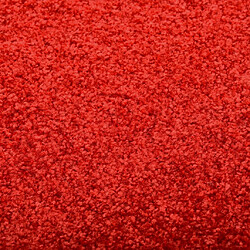 Avis vidaXL Paillasson lavable Rouge 90x150 cm