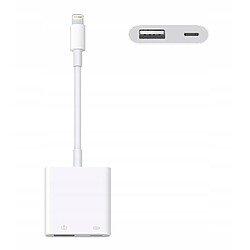 GUPBOO Adaptateur Lightning vers USB iPhone iPad,JL771