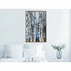 Paris Prix Affiche Murale Encadrée Winter Birch Trees 40 x 60 cm Or