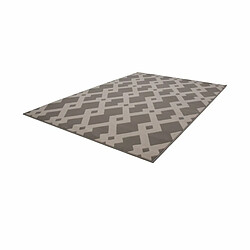 Acheter Paris Prix Tapis Ethnique à Poils Courts Now I Taupe 80 x 150 cm