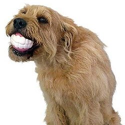 Avis Chien De Compagnie Chiot Boule Dents Silicone Mâcher Jouets Son Nouveauté Jouer Jouets Drôles Accessoires Pour Chiens Jouets Pour Chiens Pour Grands Chiens