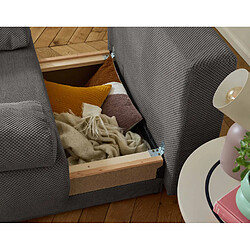 Avis Bestmobilier Cristal - fauteuil - convertible avec coffre - en velours texturé