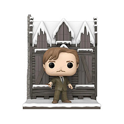 Funko Harry Potter et la chambre des secrets - Figurine Anniversary POP! Shrieking Shack w/Lupin 9 cm