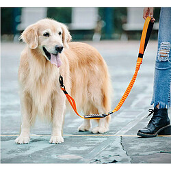 Universal Ceinture pour chien de saut à l'élastique lourd multifonctionnel Ceinture d'entraînement d'absorption de choc réflecteur 2 Poignée de circulation Ceinture de sécurité pour chien de voiture pas cher