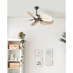 Beliani Ventilateur de plafond MAMMOTH Marron