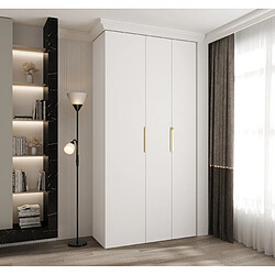 Abiks Meble Armoire à portes battantes Como 4 245,5/120/50 3 portes (blanc/doré)