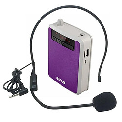 Yonis Microphone Amplificateur Portable FM MP3