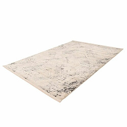 Acheter Paris Prix Tapis Imprimé Antique Délavé Palace Beige 120 x 170 cm