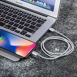 Avis Platyne Cable Usb C Vers Lightening 1 Metre