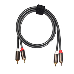 Câble audio 2RCA à 2RCA mâle à mâle pour amplificateur 1m DVD Home Theater