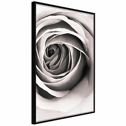 Paris Prix Affiche Murale Encadrée Structure of Petals 20 x 30 cm Noir