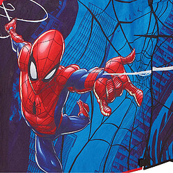 Avis WORLDS APART Kit en tissu Spider-Man de Marvel pour décorer un lit surélevé