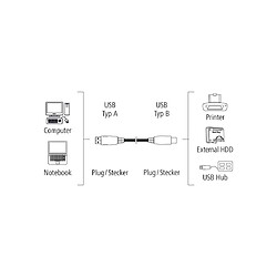 HAMA Câble USB, USB 2.0, 1,50 m, vendu à l'unité