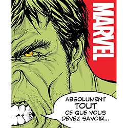 Marvel : absolument tout ce que vous devez savoir...