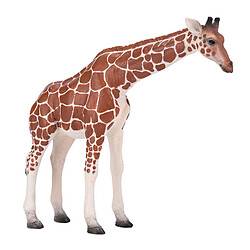 Acheter Mojo Wildlife Giraffe Female - 381033 381033