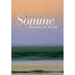 Somme : racines et avenir