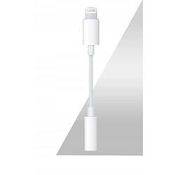 Acheter GUPBOO Adaptateur MMX62ZM/A 3.5 pour Apple iPhone LIGHTNING,JL1260